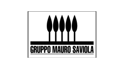 Gruppo Mauro Saviola
